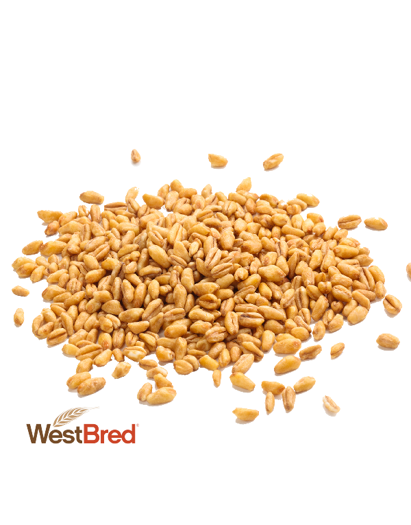 Grain and Silage Wheat Varities